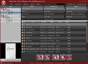 iPad 2 Manager für ePub Screen